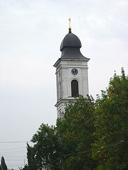 The Calvinist Church