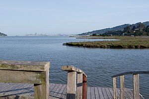 Blick von Strawberry über die Richardson Bay. In der rechten Bildhälfte Aramburu Island, im Hintergrund die Skyline von San Francisco.