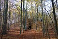 Jagdforst mit Tiergarten (Alter Tiergarten mit Jagdstern und Hellhaus nördlich des Schlossteiches, Neuer Tiergarten westlich des Schlossteiches), mit altem Wege- und Grabensystem und Resten der ehemaligen Mauerumfriedung (Grenzmauern und Grenzsteine), mit Hoher Burg (Tunnel) im Neuen Tiergarten, mit Forsteinrichtungs-Erinnerungssteinen und Resten der Baulichkeiten des ehemaligen Futterplatzes (Rübenkeller) im Alten Tiergarten, sowie nahe dem Schlossteich ein Eiskeller im Alten Tiergarten, alle älteren Bogenbrücken (z. B. Straßenbrücke am Mittelteich über den Abfluss zum Frauenteich) aus Bruchstein oder Sandstein innerhalb der Kulturlandschaft Moritzburg (Einzeldenkmal der Sachgesamtheit 09301072)