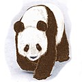 Qinling panda