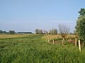 Doorkijk vanaf de Onderdijkse Waard,via de landerijen ten westen van Erve Scholpenoirt naar het stadje Wilsum