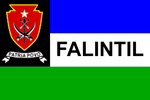 F-FDTL bayrağı