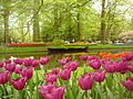 Blomsterparken Keukenhof]