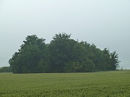 Tumulus van Noville