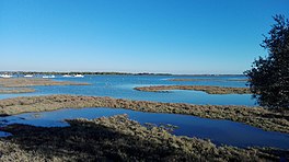 A body of water with shores and floodplains visible.