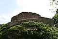 Blick über den Halsgraben auf die Burg im Mai 2008