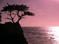 Sonnenuntergang am Pebble Beach, Kalifornien