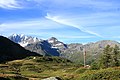 Vertikalantenne und Fletschhorn