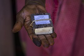 The finished product—a bar of seaweed soap