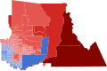 2024 AZ-01 election by precinct