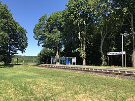 Station Ruschwedel (2019)