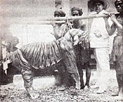 lidhje=https://en.wiki.x.io/wiki/Bali tiger zanveld.jpg