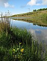 Busbie Muir Reservoir on the B780.