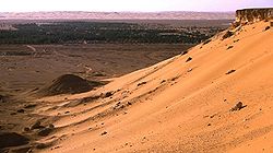 El Meniaa, die Stadt der 100.000 Palmen. Blick von der Steilstufe der Transsaharastraße