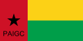 PAIGC parti bayrağı