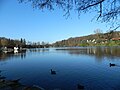 Südufer des Hariksee (Januar 2016)