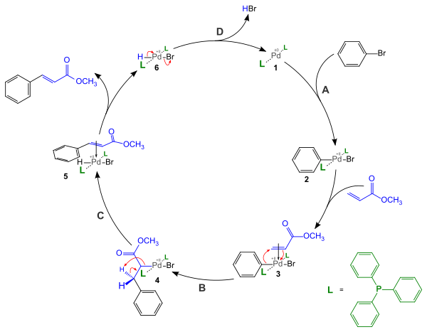 Heck Reaction Mechanism