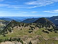 McNeeley Peak (right) and its western sub-peak (left) as viewed from the Huckleberry Creek Trail to the south