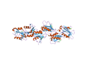 2hdx: Crystal structure of the Src homology-2 domain of SH2-B in complex with Jak2 pTyr813 phosphopeptide