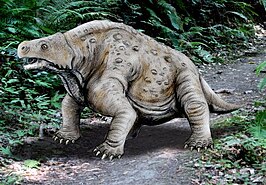 Pareiasaurus