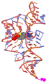 Experimental 3D structure of the TPP riboswitch (PDB: 2HOJ​).[9]