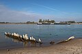 Ship wreck in the river Rhine near Kleve-Spyck during extreme low water