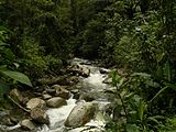 Nearby river of Anchicaya where the apparition of Our Lady of the Mountain was seen.