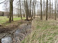 Oberlauf der Würschnitz im Beuthner Wald im Bereich der früheren Mark Wittendorf