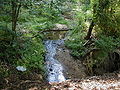 Cow Yard Brook at Deans Lane