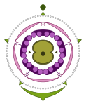 Neue Vektorgrafik