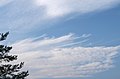 Cirrostratus øverst, cirrus i midten og cirrocumulus nederst