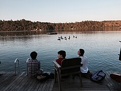 Ducks invade the swimming area on Long Pond