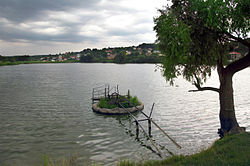 A pond with a village in the background