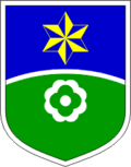 Wappen von Občina Mislinja