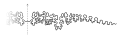 Suture pattern of Sphenodiscus