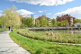 Sydlig del av parken. Foto: Helge Høifødt