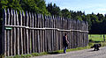 Limespalisade beim Kastell Lützelbach