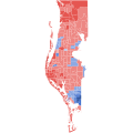 2024 FL-13 election by precinct