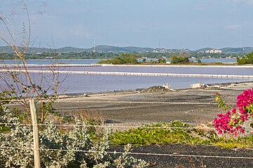 Salt flats in Cabo Rojo