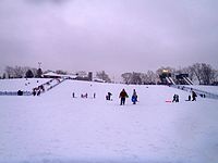 Chestnut Ridge Park sledding hill