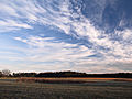 Cirrus Clouds