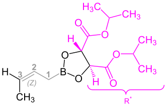 Strukturformel eines Crotylboronates im violett markiertem chiralen Rest und grau markierter Allyl-Gruppe