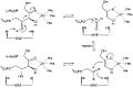 Mechanism of ribulose 5-phosphate 4-epimerase in active site