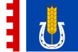 Vlag