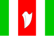 Vlag