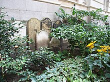 Seven gravestones lean against a grey stone wall. In front of the gravestones is a somewhat overgrown flowerbed.