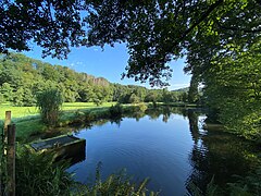 Talaue der Großen Dhünn und Teich nördl. Neumühle