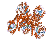 2izz: CRYSTAL STRUCTURE OF HUMAN PYRROLINE-5-CARBOXYLATE REDUCTASE