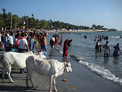 Am Strand von Rameswaram