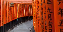 Torii